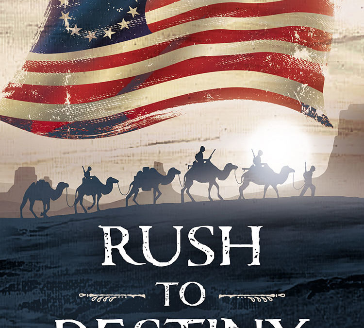 Rush to Destiny by L.J. Martin