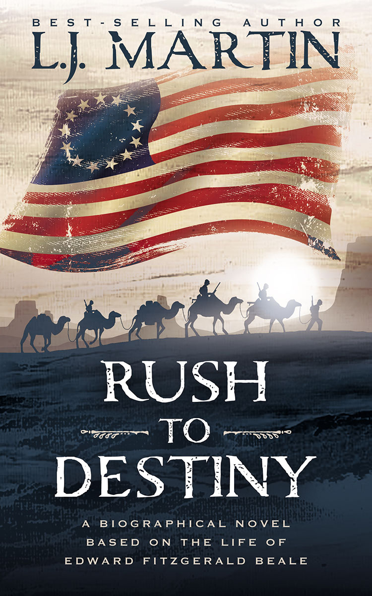 Rush to Destiny by L.J. Martin